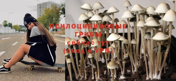 твердый Балахна